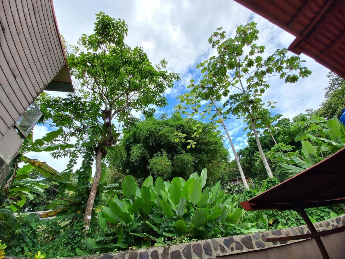 Bed and Breakfast Sunrise House Quepos Exteriér fotografie